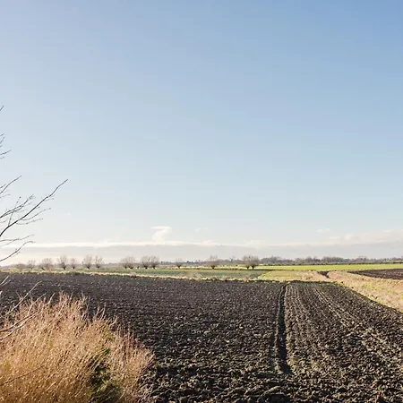 Ferienhaus Wellnesshaus Strandläufer *